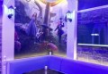 温州地铁招聘文案（探索温州地铁人才之旅：加入我们，共创精彩出行！）