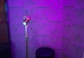 招聘文案简短搞怪（创意幽默招聘小词）