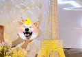 激励文案招聘短句（吸引精英加入：创新动力招聘短句）
