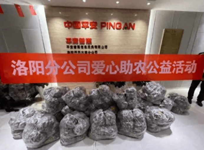 招联消费金融客服电话人工客服