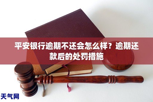深圳市财付通网络金融小额贷款提前还款提示限额怎么办无法还款