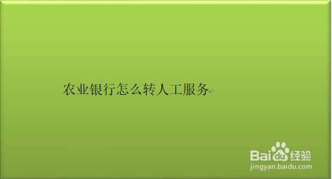 美团借钱哪个服务电话能转人工服务